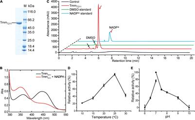 Structural and Mechanistic Insights Into Dimethylsulfoxide Formation Through Dimethylsulfide Oxidation